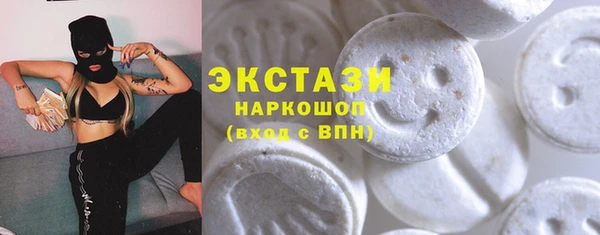 мет Алексин