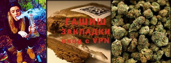 мет Алексин