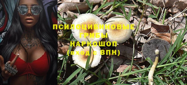 мет Алексин