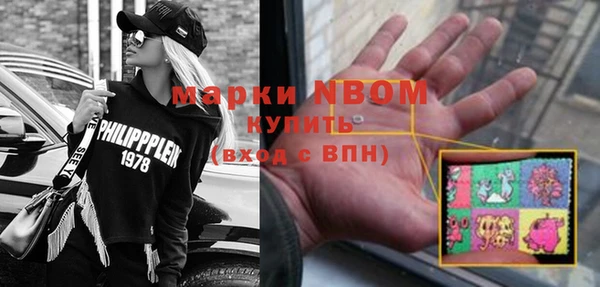 мет Алексин