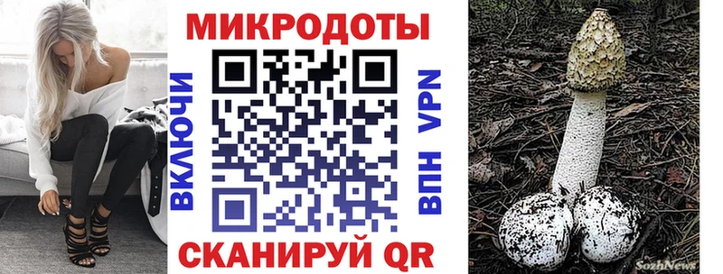 Галлюциногенные грибы GOLDEN TEACHER  Вологда 